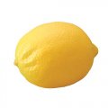 80mm フレッシュレモン　食品サンプル　フェイクフード　フェイクフルーツ