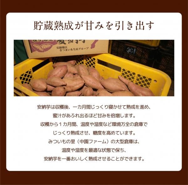 熟成プレミア安納芋(ML3kg