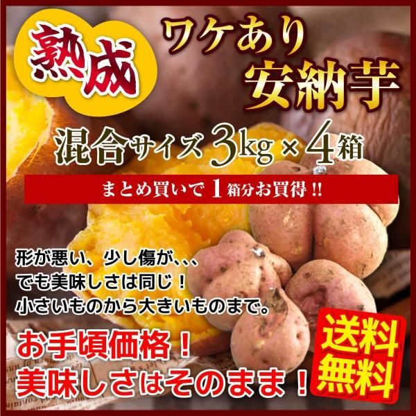 早期予約】安納芋《特典付》（種子島安納地区産）│みついもの里