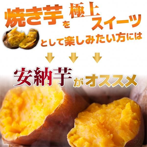 【4箱まとめ買い】熟成ワケあり