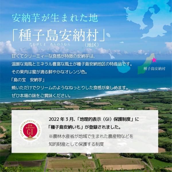 【4箱まとめ買い】熟成ワケあり
