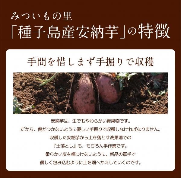 【4箱まとめ買い】熟成ワケあり