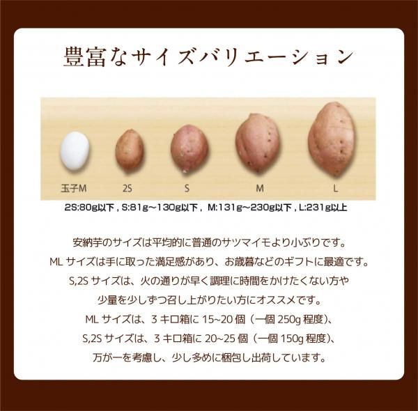【4箱まとめ買い】熟成ワケあり