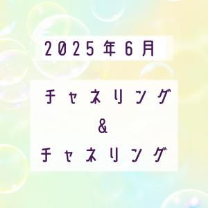 '25.6˥ͥ󥰡ͥ󥰡6