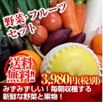 送料無料！野菜・フルーツセット税込3,980円
