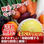 送料無料！野菜・フルーツセット税込4,180円