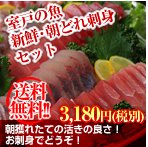 送料無料！室戸の魚 新鮮・朝どれ刺身セット税込3,180円