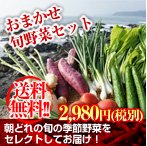 送料無料！おまかせ旬野菜セット税込2,980円