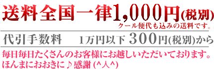送料一律1000円(税別)
