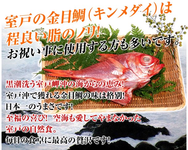 鯛 金目 伊豆半島の金目鯛には3種類あり、味と値段が違うので要注意｜弓ヶ浜のバーベキューコテージ
