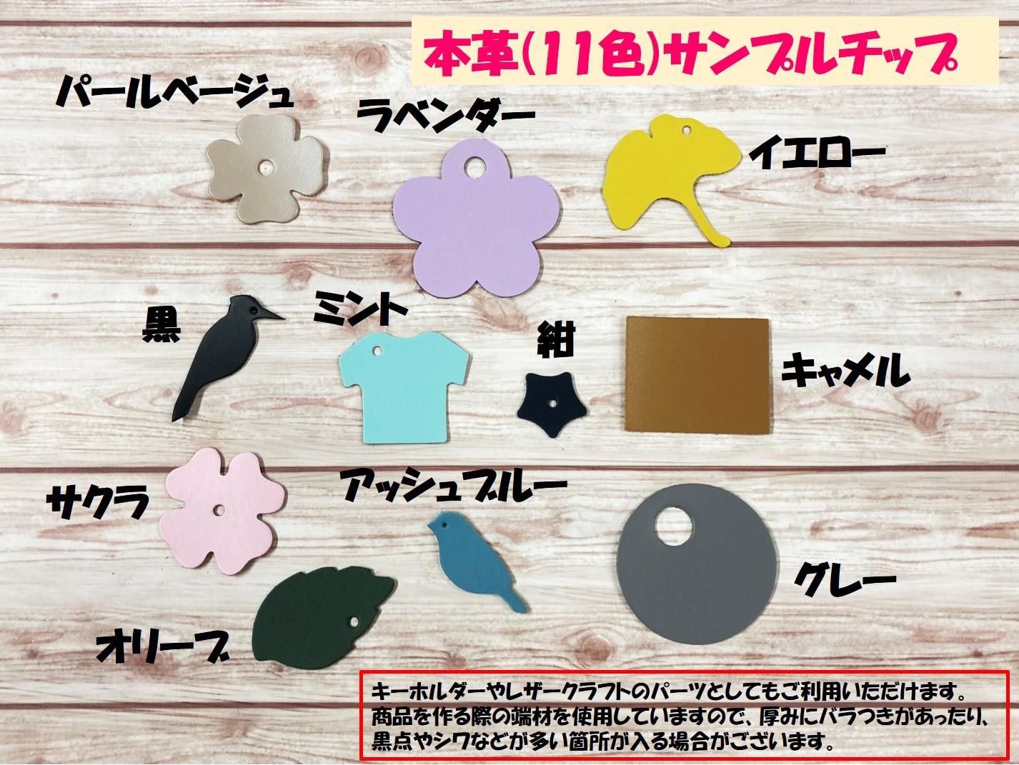 サンプルチップ