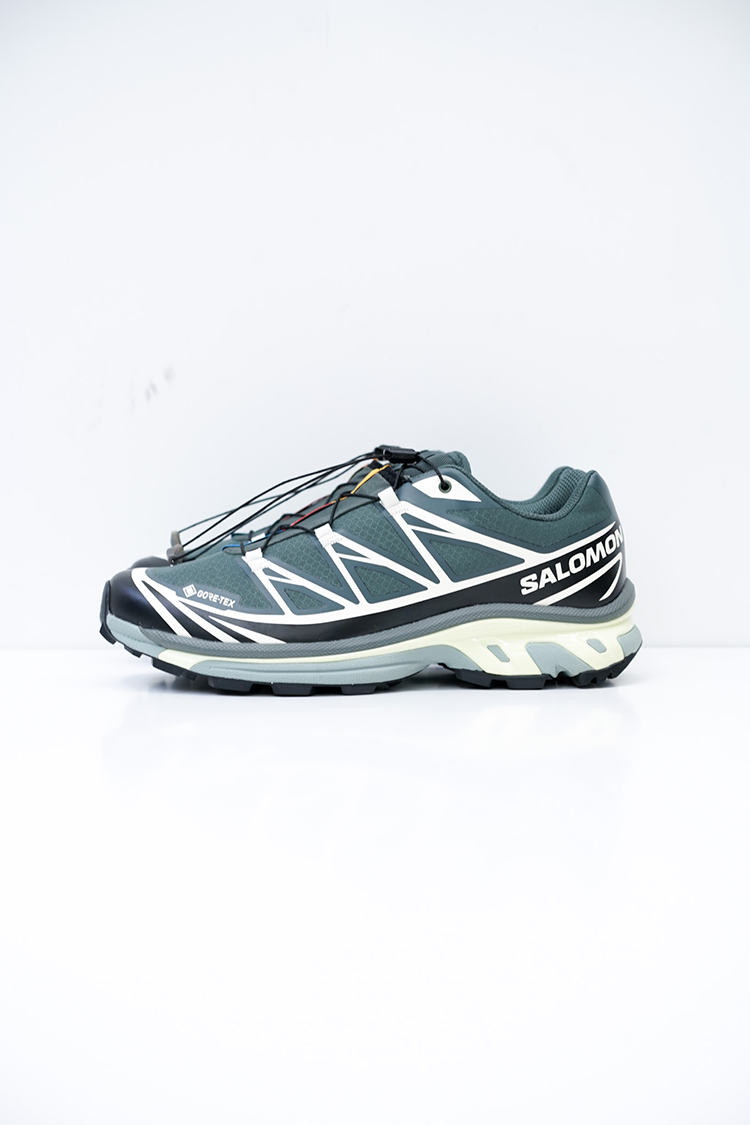 Salomon XT-6 GTX / Urban Chic / Black / Lime Cream