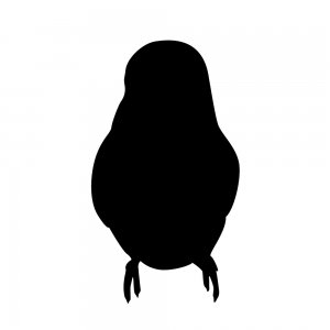 小鳥(147509368)