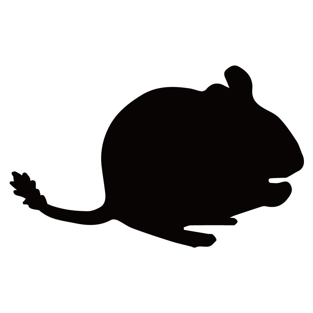 デグー こころ工房 ペットのお墓 ペットストーン の販売 デグー こころ工房 ペットのお墓 ペットストーン の販売