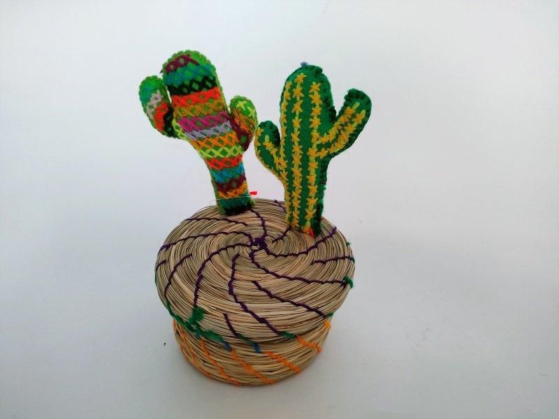 メキシコ サボテンカゴ【カクタス 2本 レインボー】 - メキシコ