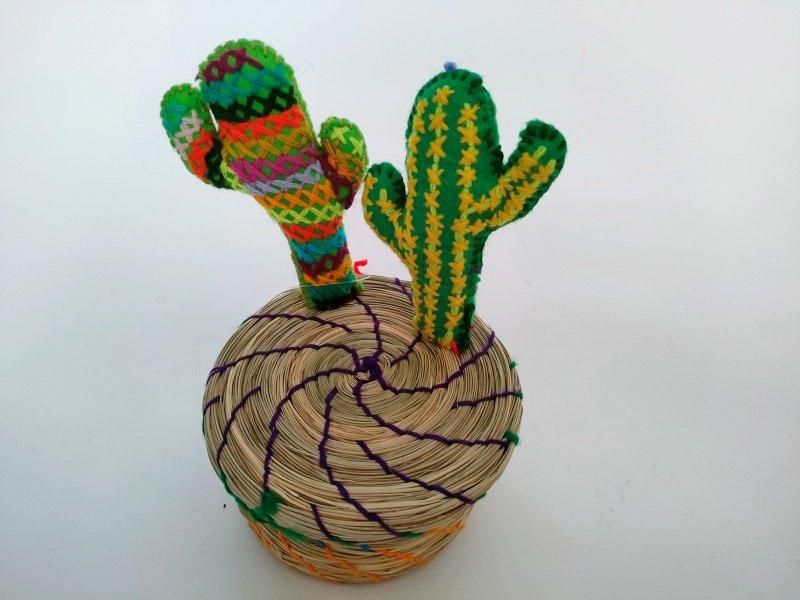メキシコ サボテンカゴ【カクタス 2本 レインボー】 - メキシコ