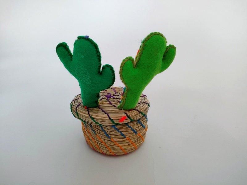 メキシコ サボテンカゴ【カクタス 2本 レインボー】 - メキシコ