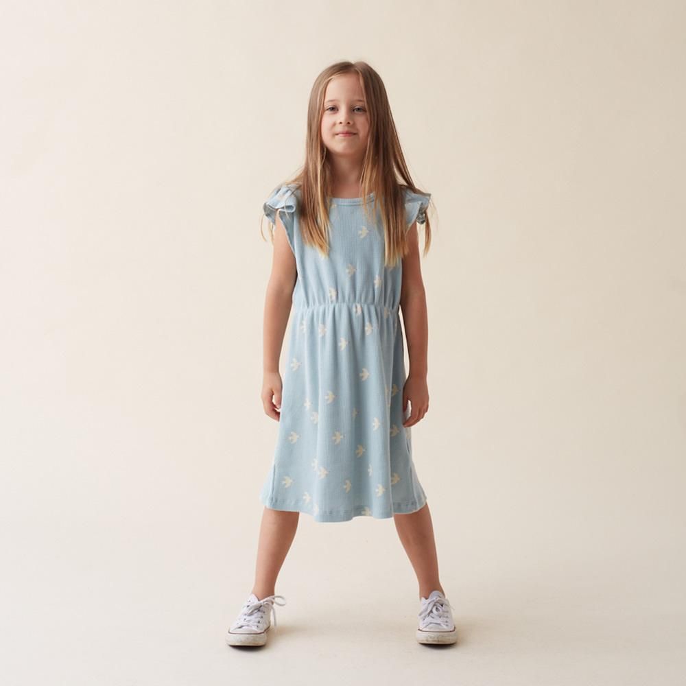 tinycottons BIRDS DRESS cadet blue/light cream バード柄ワンピース（カデットブルー/ライトクリーム）