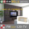 FW-min120-TV