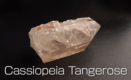 Cassiopeia Tangerose