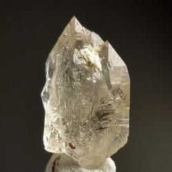 4.9g ҥǥʥȡȥ
