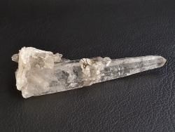  25.7g ץ쥢ǥ 