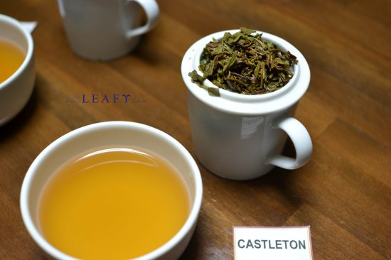 皇帝と呼ばれる キャッスルトン茶園 ダージリン紅茶ファーストフラッシュ