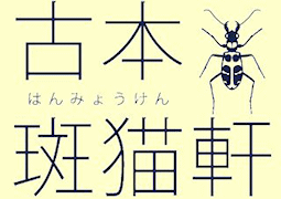 古本 斑猫軒(はんみょうけん）―綺想・怪奇・幻想の文学・芸術・人文書から絵本・趣味の本まで―