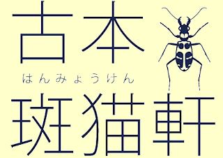 古本 斑猫軒(はんみょうけん）―綺想・怪奇・幻想の文学・芸術・人文書から絵本・趣味の本まで―