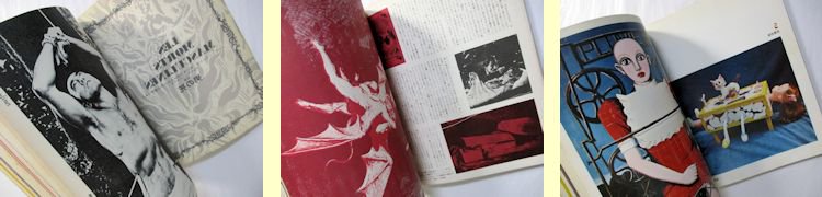 【国産】 雑誌　血と薔薇創刊号、2号、3号セット アート/エンタメ/ホビー