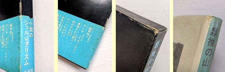 類推の山 小説のシュルレアリスム ドーマル 訳：巌谷國士 白水社