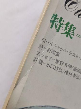 新品★バンクシーとは誰か？ユリイカ 詩と批評 第43巻第9号 新品☆バンクシーとは誰か？ユリイカ 詩と批評 第43巻第9号