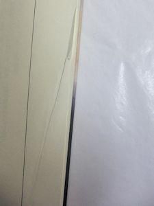 不死身 幽鬼楼 大泉黒石 大衆奇文学館 不死身 幽鬼楼(大泉黒石 著大泉黒石 著) / 中央書籍販売 / 古本