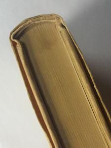 ものと人間の文化史34 猿 廣瀬鎮 法政大学出版局