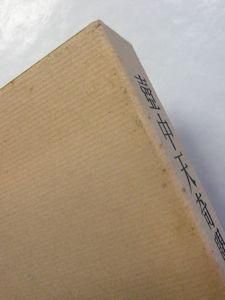 壺中天奇聞 種村季弘作家論 青土社