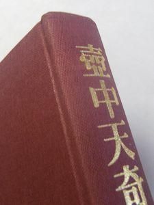 壺中天奇聞 種村季弘作家論 青土社
