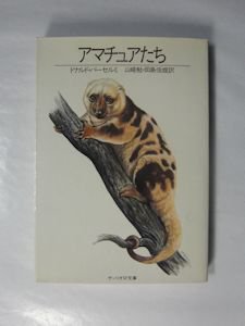 アマチュアたち ドナルド・バーセルミ 訳：山崎勉、田島俊雄 サンリオ