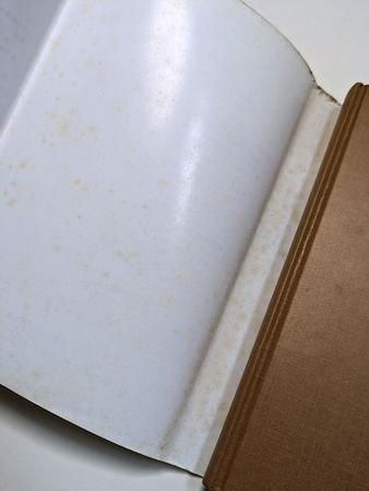 月と橋 中国の社会と民俗 吉田隆英 平凡社選書