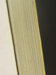 希少/青森県の怪談　編：北彰介　津軽書房　1973年出版 希少/青森県の怪談 編：北彰介 津軽書房 1973年出版 - メルカリ