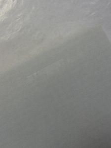 高橋新吉研究 平居謙 思潮社