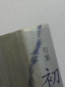 句集 初日記 和田華凛 本阿弥書店