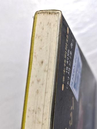 季刊 幻想文学第25号 特集：ファンタスティック・マガジン 幻想