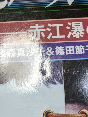 季刊 幻想文学第57号 特集：伝綺燦爛―赤江瀑の世界 アトリエOCTA