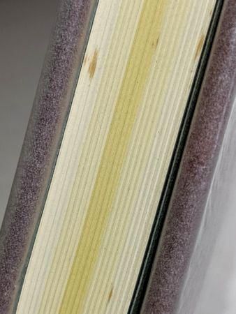 歌集 驟雨修辞学 塚本邦雄 著者自筆歌・署名入り 大和書房