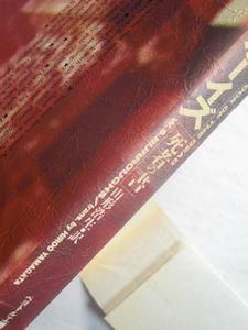 【W・S・バロウズ】　ワイルド・ボーイズ　おかま 　ペヨトル工房 ワイルド・ボーイズ ［猛者］ ―死者の書 W・S・バロウズ 訳