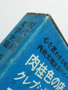 現代東欧文学全集6 肉桂色の店・他 恒文社