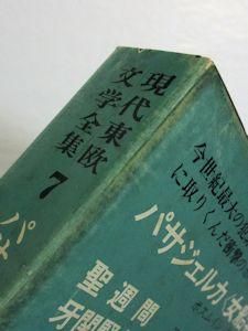 現代東欧文学全集7 パサジェルカ〈女船客〉・他 恒文社