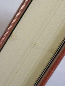 Amazon.com: パサジェルカ〈女船客〉―他 (東欧の文学
