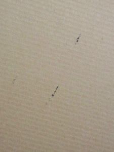 古典文庫　吉田幸一編　まとめて90冊程度 非売品　会員頒布 古典文庫 吉田幸一編 まとめて90冊程度 非売品 会員頒布 古典