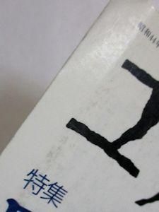 ユリイカ 1993年4月号 特集：ロック 身体を拡張する音響装置 青土社